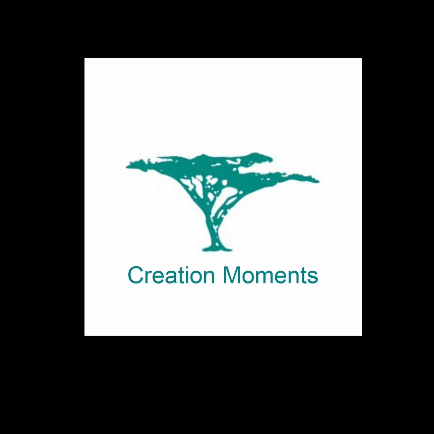 Creation Moments